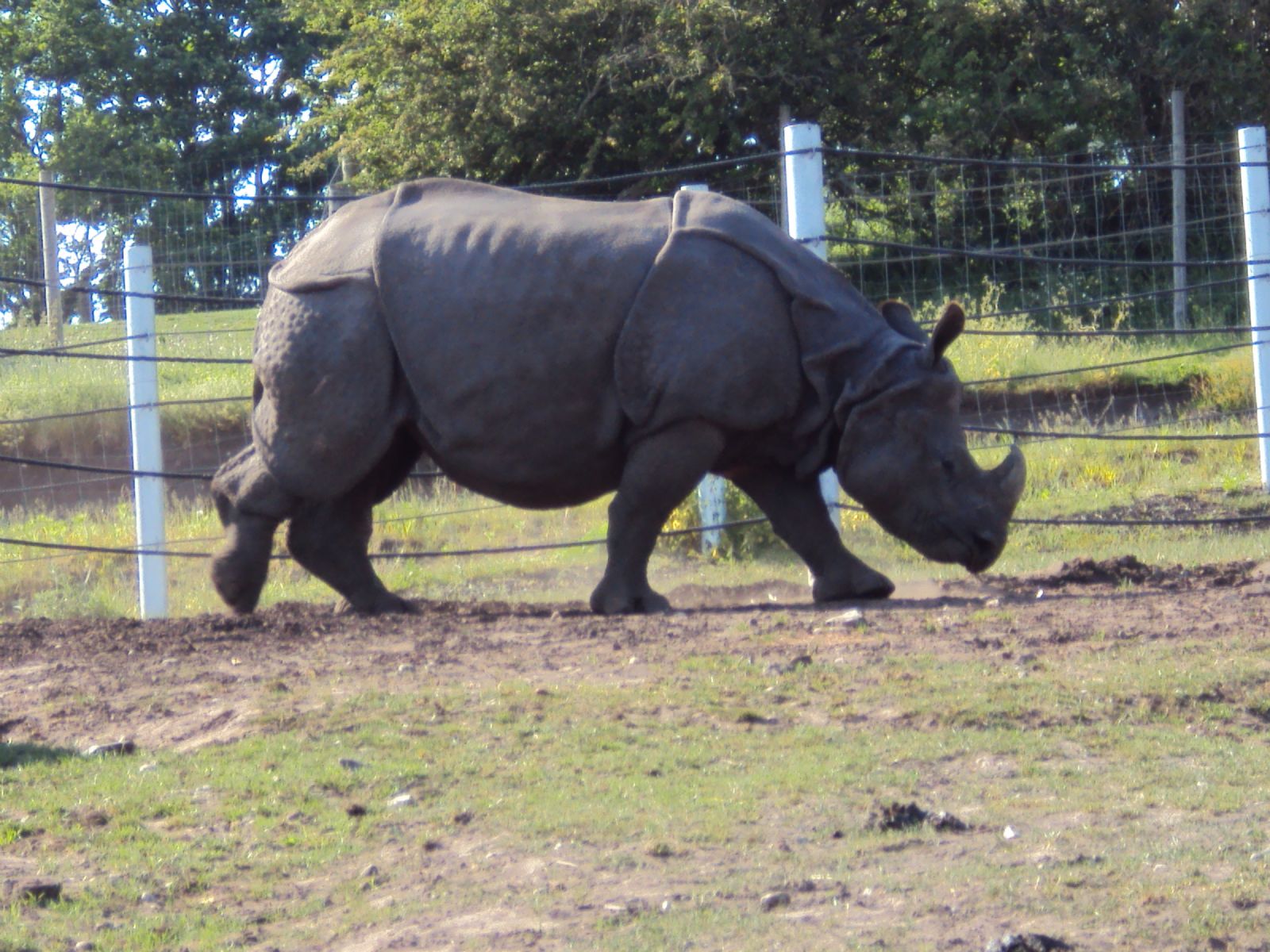 West Midland Safari Park